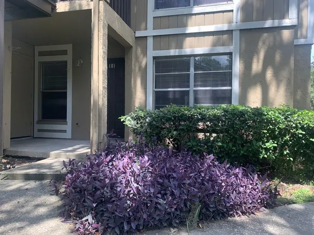 $1,200 | 14312 Hanging Moss Circle, Unit 101, Tampa, FL 33613