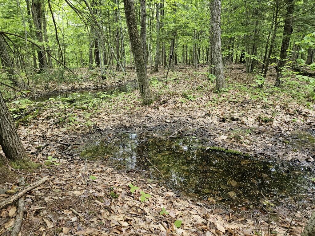 M10-l44 Mountain View Road Fryeburg, ME 04037 - Photo 19 of 36