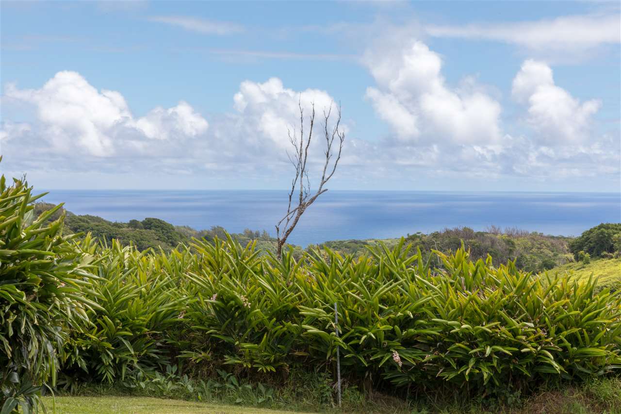 549 Burns Road Haiku, HI 96708 - Photo 19 of 22 a view of a yard
