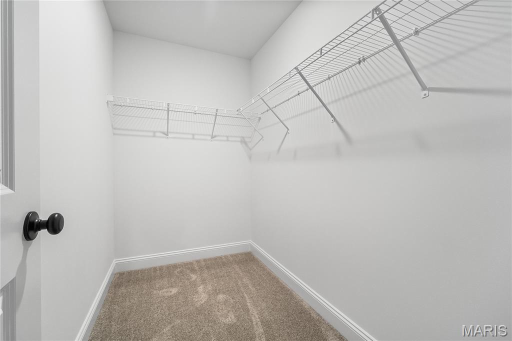 175 Sesame Loop St. Peters, MO 63303 - Photo 27 of 39