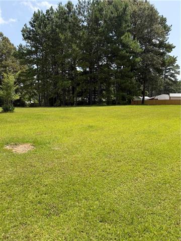 1003 Dyson Creek Road Pollock, LA 71467 - Photo 21 of 23
