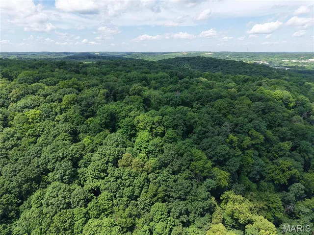 $400,000 | 24 Monkey Run, Hannibal, MO 63401