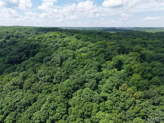 $400,000 | 24 Monkey Run, Hannibal, MO 63401