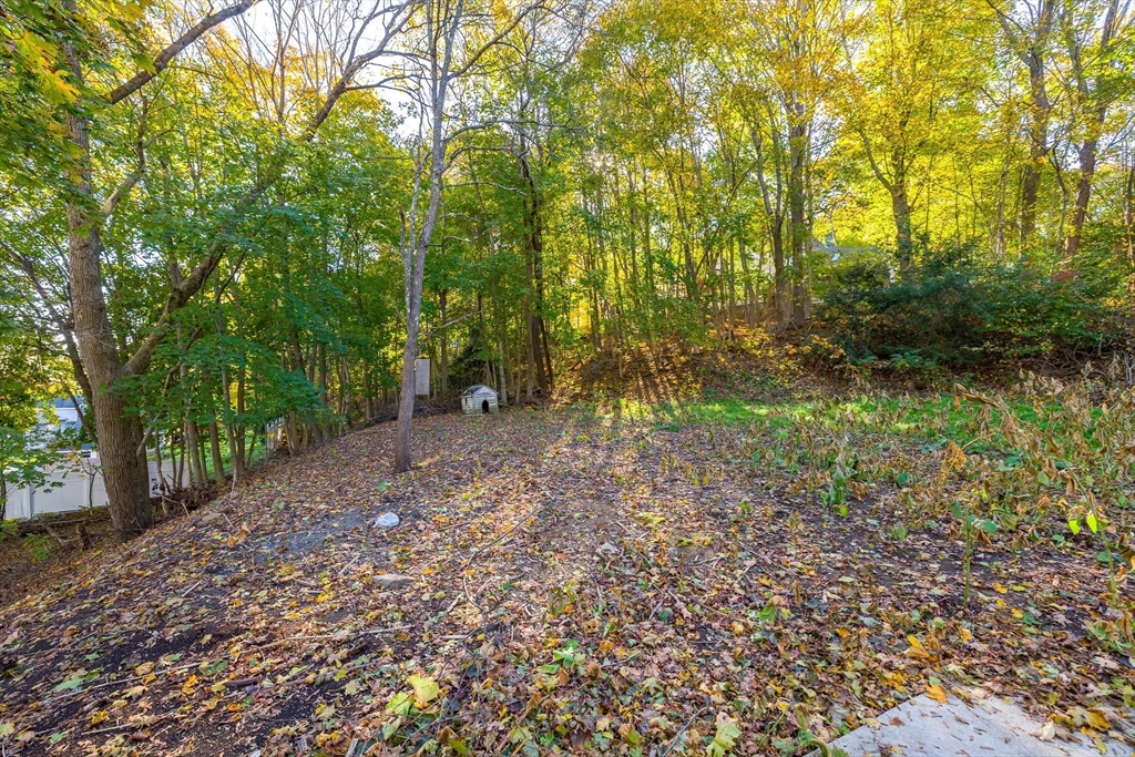 17 Otis Street Warren, MA 01083 - Photo 22 of 26 a view of a forest with trees in the background