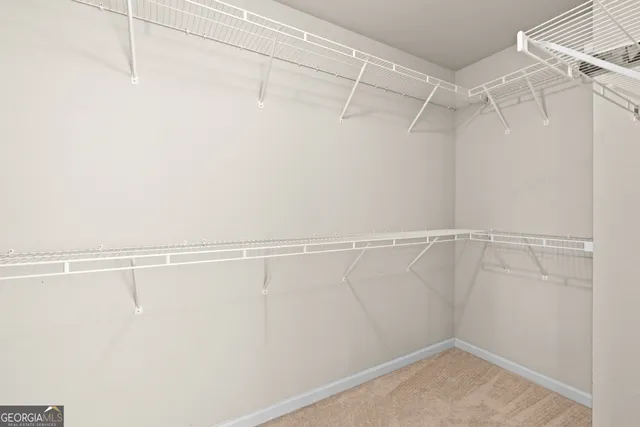 a view of a yard with plants and trees