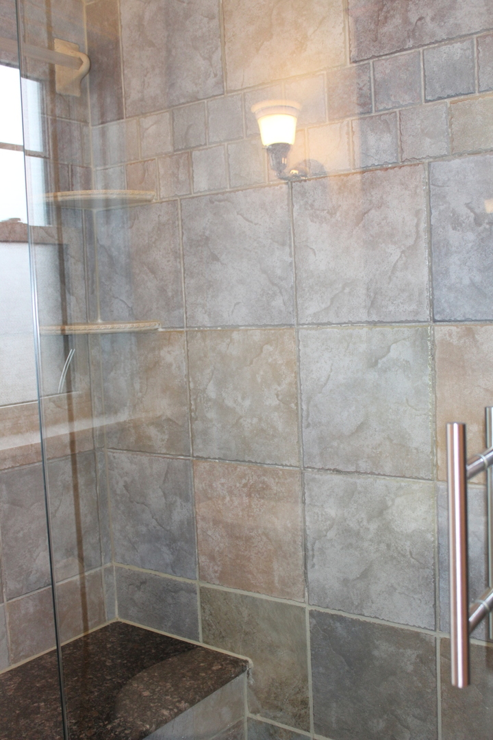 2 South Lincoln Avenue, Unit 3A Park Ridge, IL 60068 - Photo 18 of 26 a bathroom with a shower