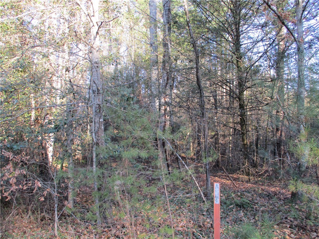 None None Academy Road Mountain Rest, SC 29664 - Photo 1 of 5 Gallery Image 1