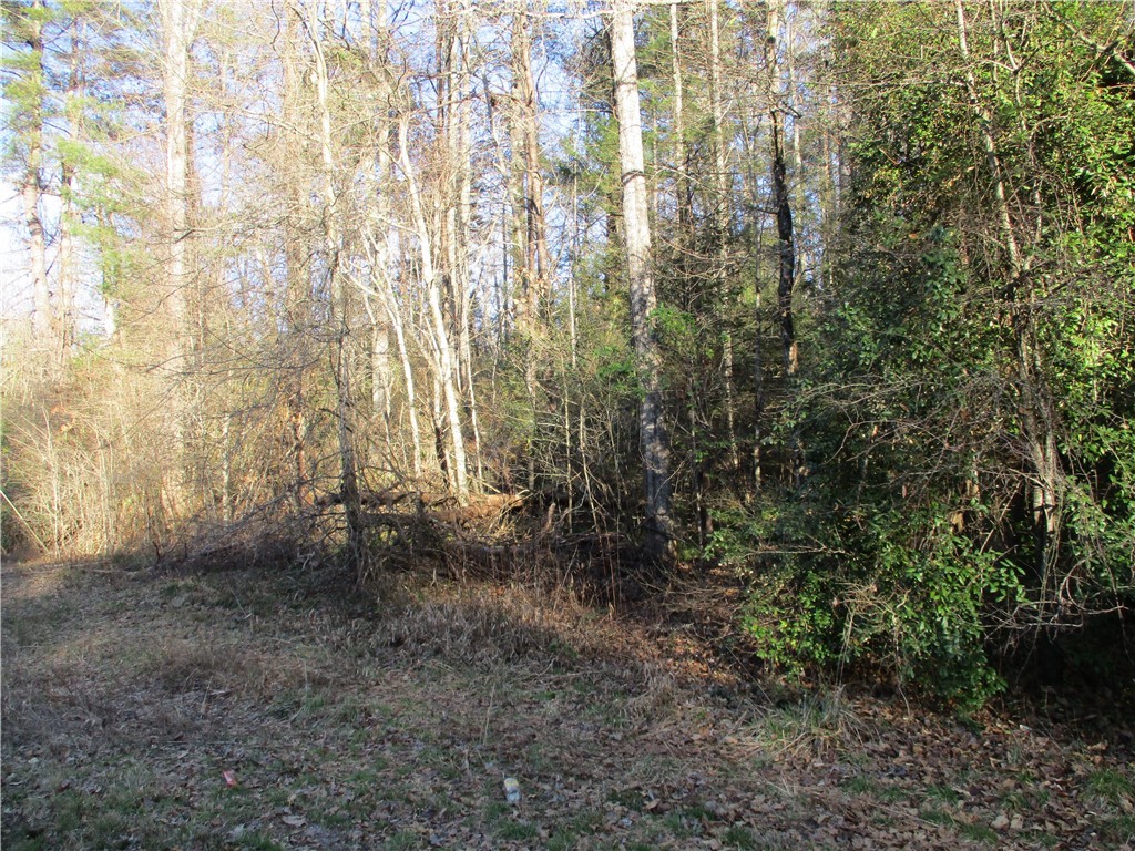 None None Academy Road Mountain Rest, SC 29664 - Photo 3 of 5 Gallery Image 3