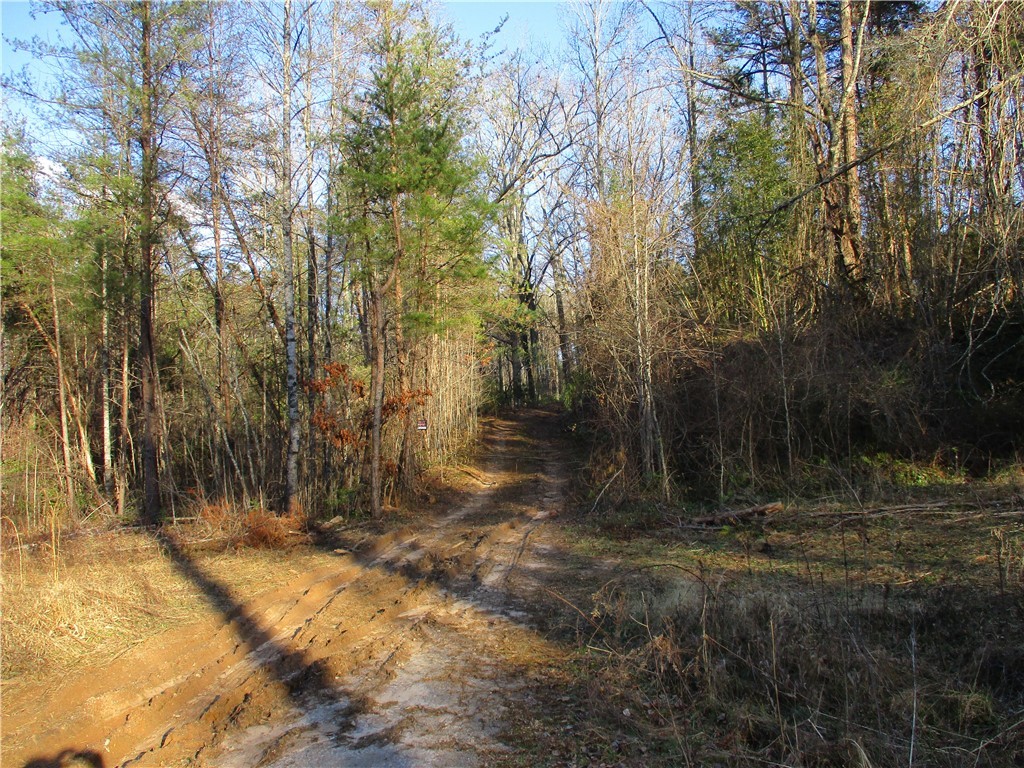 None None Academy Road Mountain Rest, SC 29664 - Photo 4 of 5 Gallery Image 4