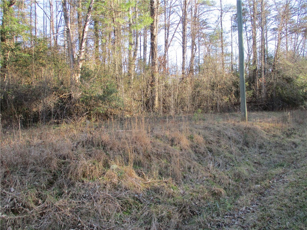 None None Academy Road Mountain Rest, SC 29664 - Photo 5 of 5 Gallery Image 5