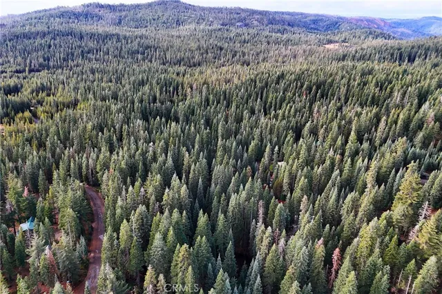 $19,974 | 1100 Cleghorn Drive, Quincy, CA 95971