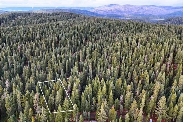 a view of a city with lush green forest