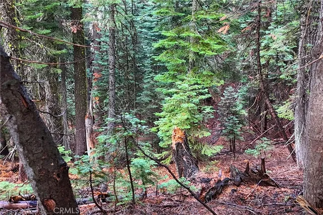 $19,974 | 1100 Cleghorn Drive, Quincy, CA 95971