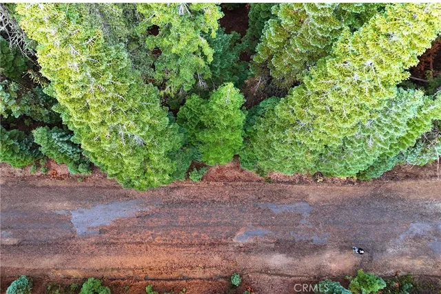 $19,974 | 1100 Cleghorn Drive, Quincy, CA 95971