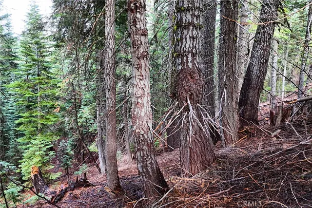 $19,974 | 1100 Cleghorn Drive, Quincy, CA 95971