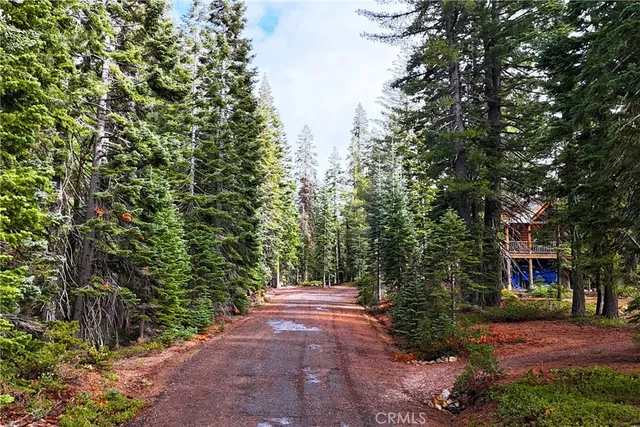a backyard of a house with lots of trees