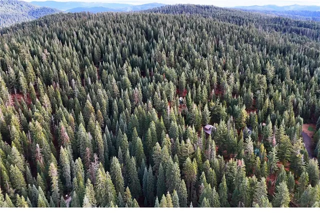 $19,974 | 1100 Cleghorn Drive, Quincy, CA 95971