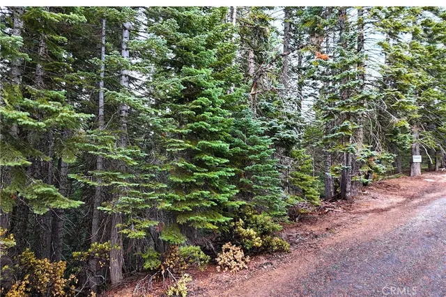 $19,974 | 1100 Cleghorn Drive, Quincy, CA 95971