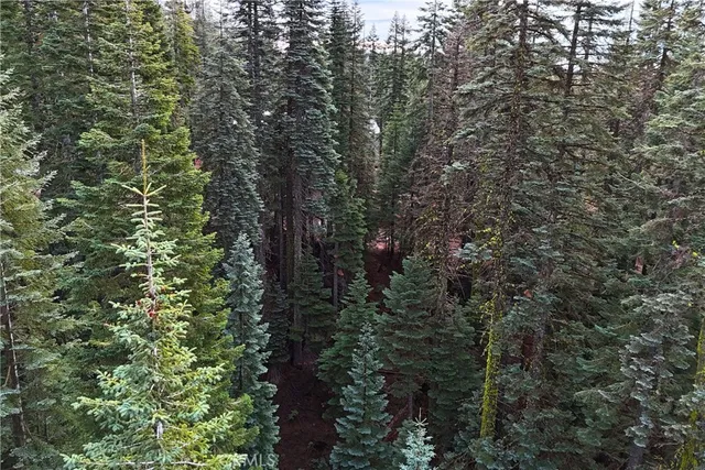 $19,974 | 1100 Cleghorn Drive, Quincy, CA 95971