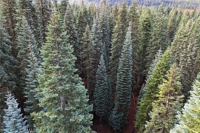 $19,974 | 1100 Cleghorn Drive, Quincy, CA 95971