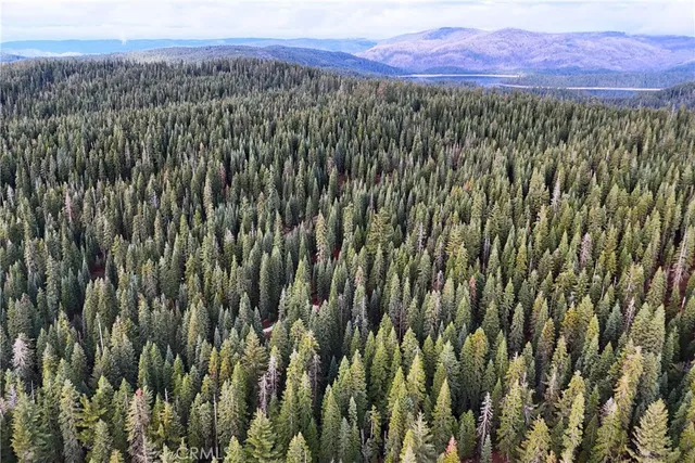 $19,974 | 1100 Cleghorn Drive, Quincy, CA 95971