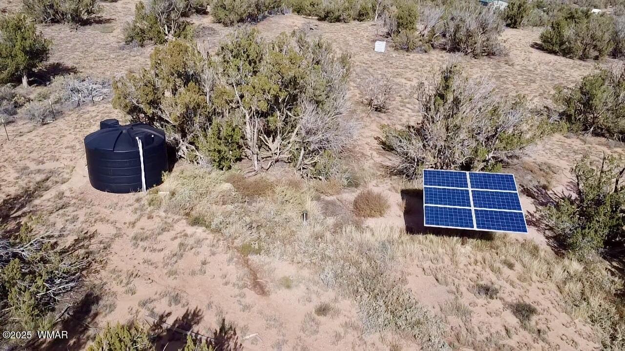 3908 South Freeman Holw Road Snowflake, AZ 85937 - Photo 29 of 31 a view of outdoor space and red trees