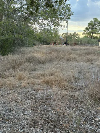 a view of an outdoor space with trees