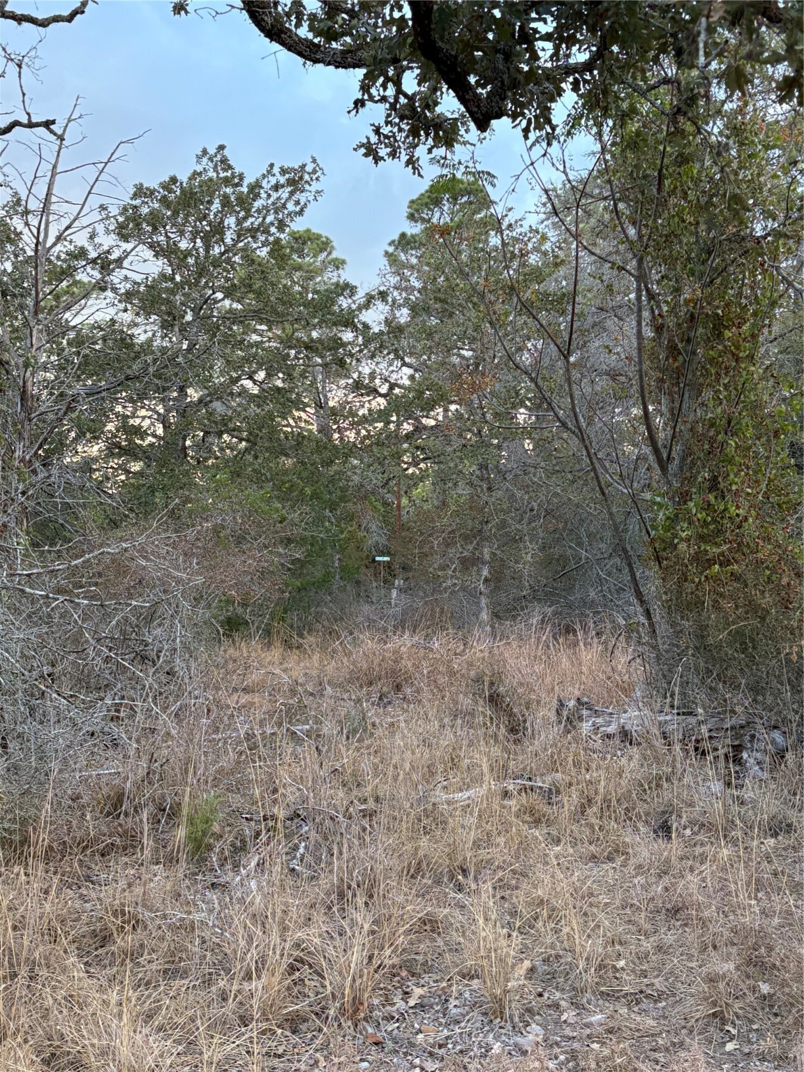 0 Deer Loop La Grange, TX 78945 - Photo 3 of 3 a view of a dry yard with trees