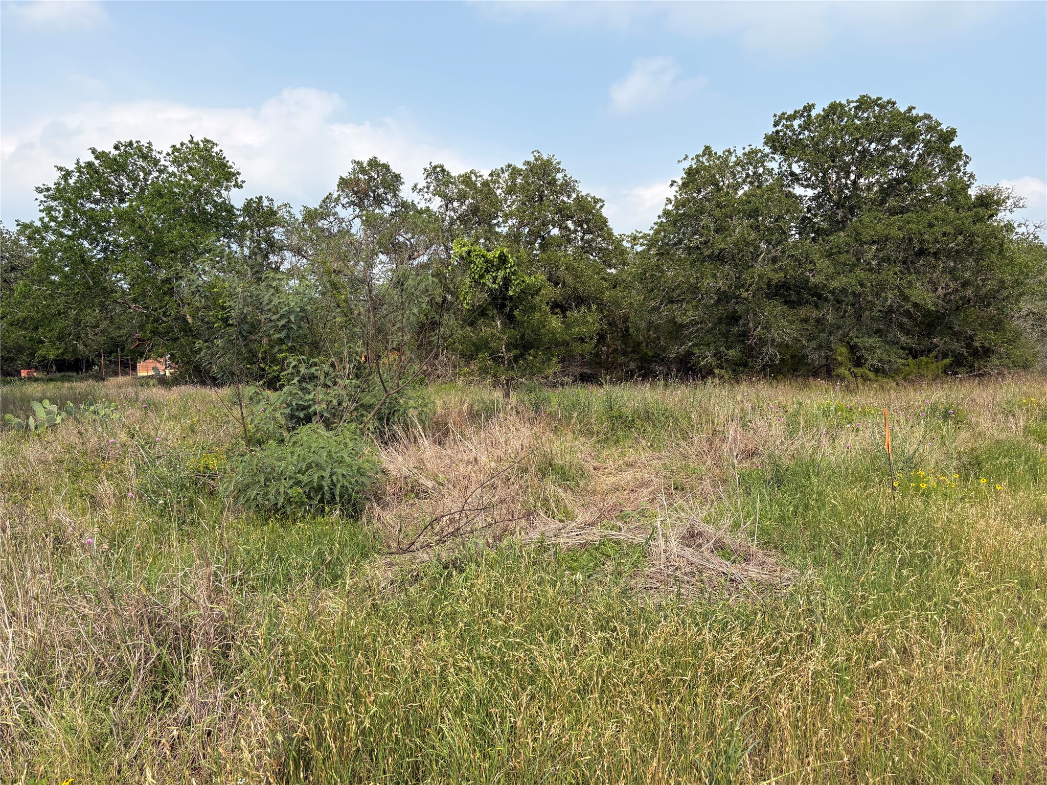 0 Deer Loop La Grange, TX 78945 - Photo 3 of 4 a view of a yard with a tree