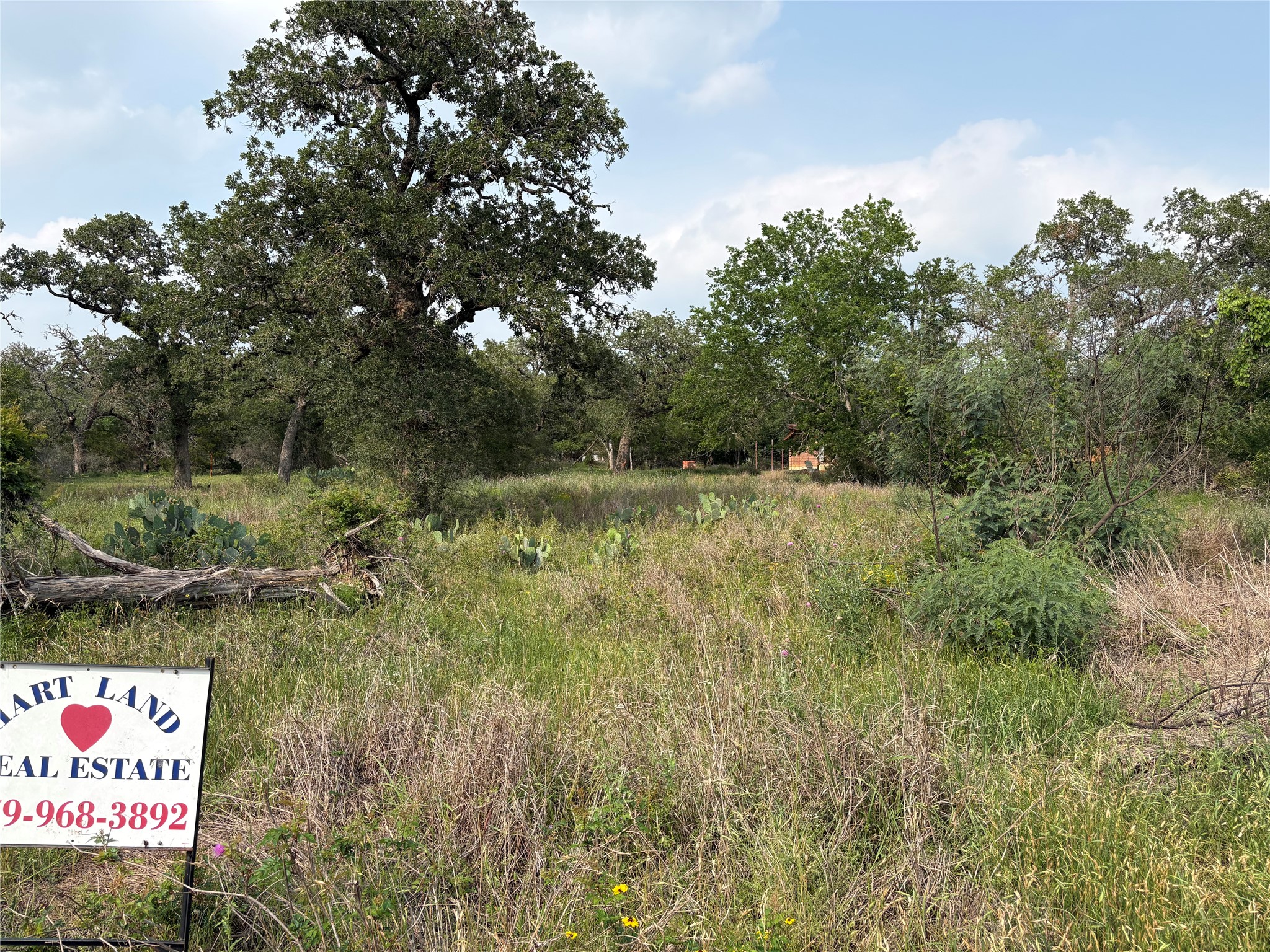0 Deer Loop La Grange, TX 78945 - Photo 4 of 4 a view of a bunch of trees and bushes