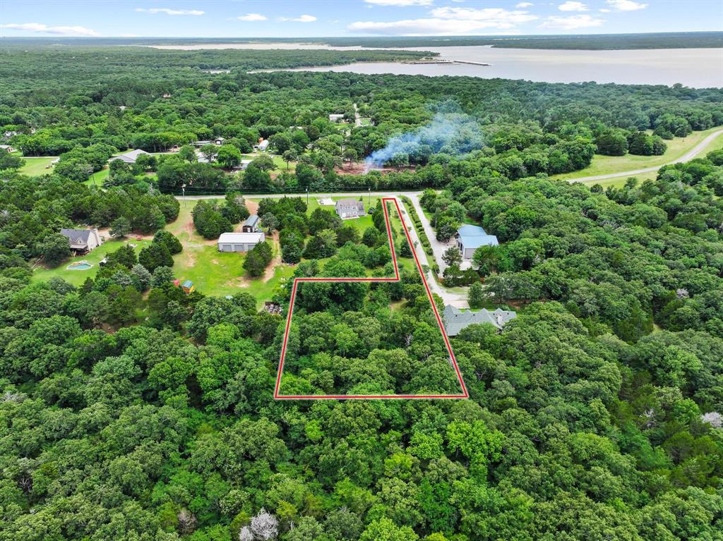 207 Paradise Park Road Pottsboro, TX 75076 - Photo 21 of 28 Wooded lot outlined in red, featuring dense tree coverage