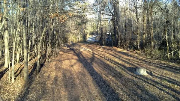a view of a yard with trees