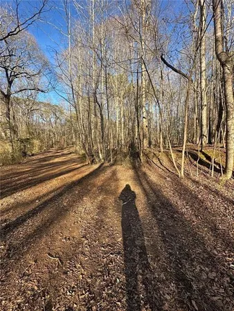 a view of backyard with wooden fence