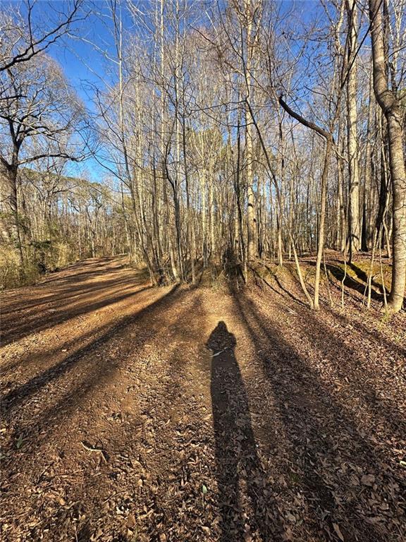 0 Collier Street Southwest Covington, GA 30014 - Photo 8 of 12