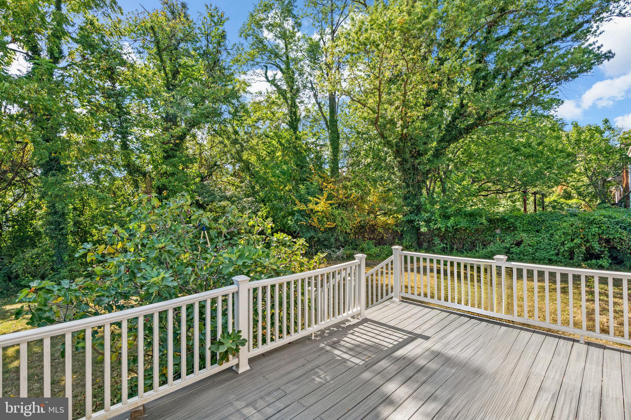 2306 Barbour Road Falls Church, VA 22043 - Photo 31 of 37 a view of a wooden roof deck