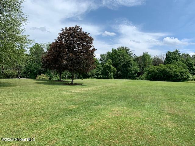 140 Morehouse Road Coeymans, NY 12143 - Photo 46 of 53 IMG_5230