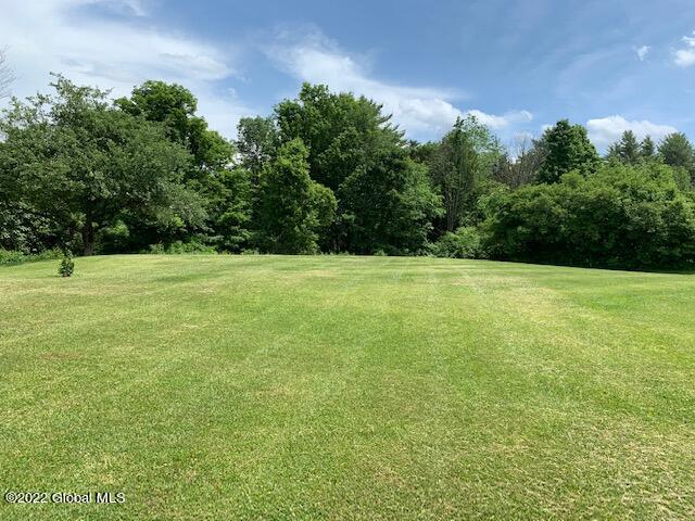 140 Morehouse Road Coeymans, NY 12143 - Photo 47 of 53 IMG_5232