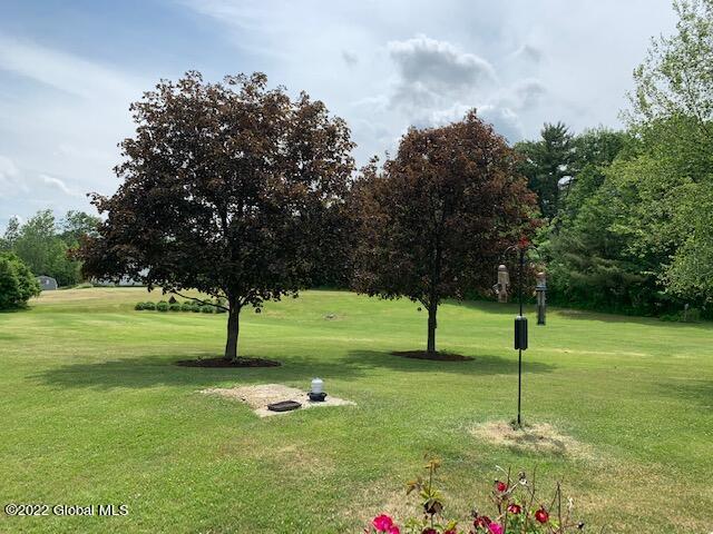 140 Morehouse Road Coeymans, NY 12143 - Photo 48 of 53 IMG_5246