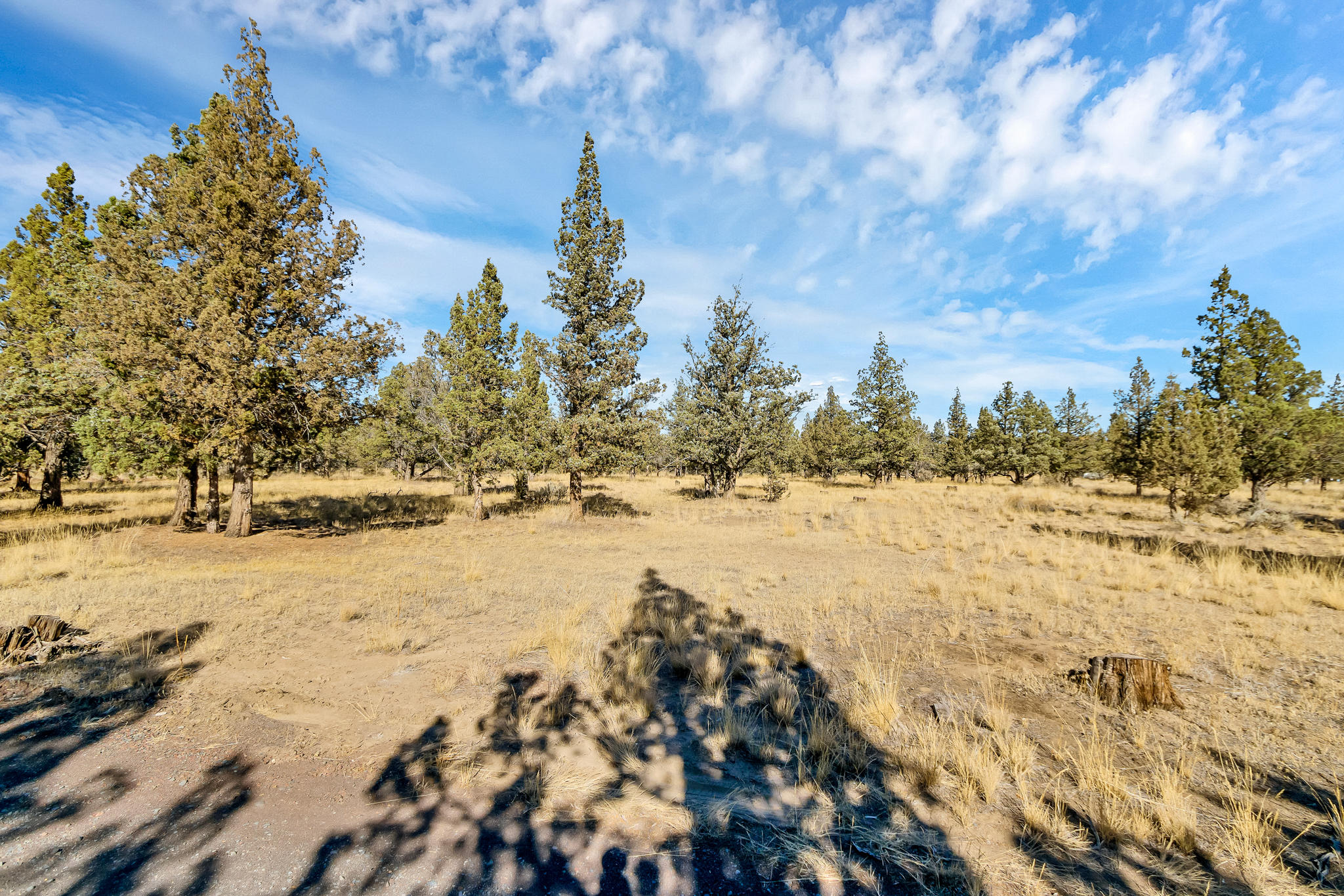 9644 Northwest Rocky Road Powell Butte, OR 97753 - Photo 12 of 31 DSC02167