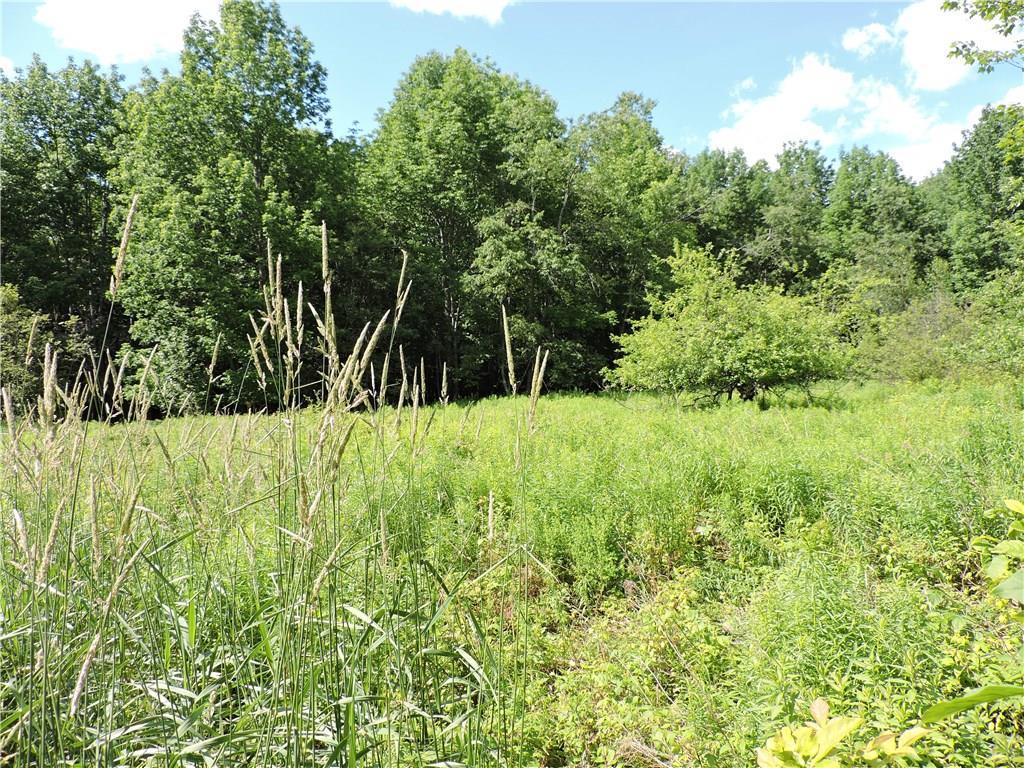 539 Jacob Buck Pond Road Bucksport, ME 04416 - Photo 25 of 32 Photo
