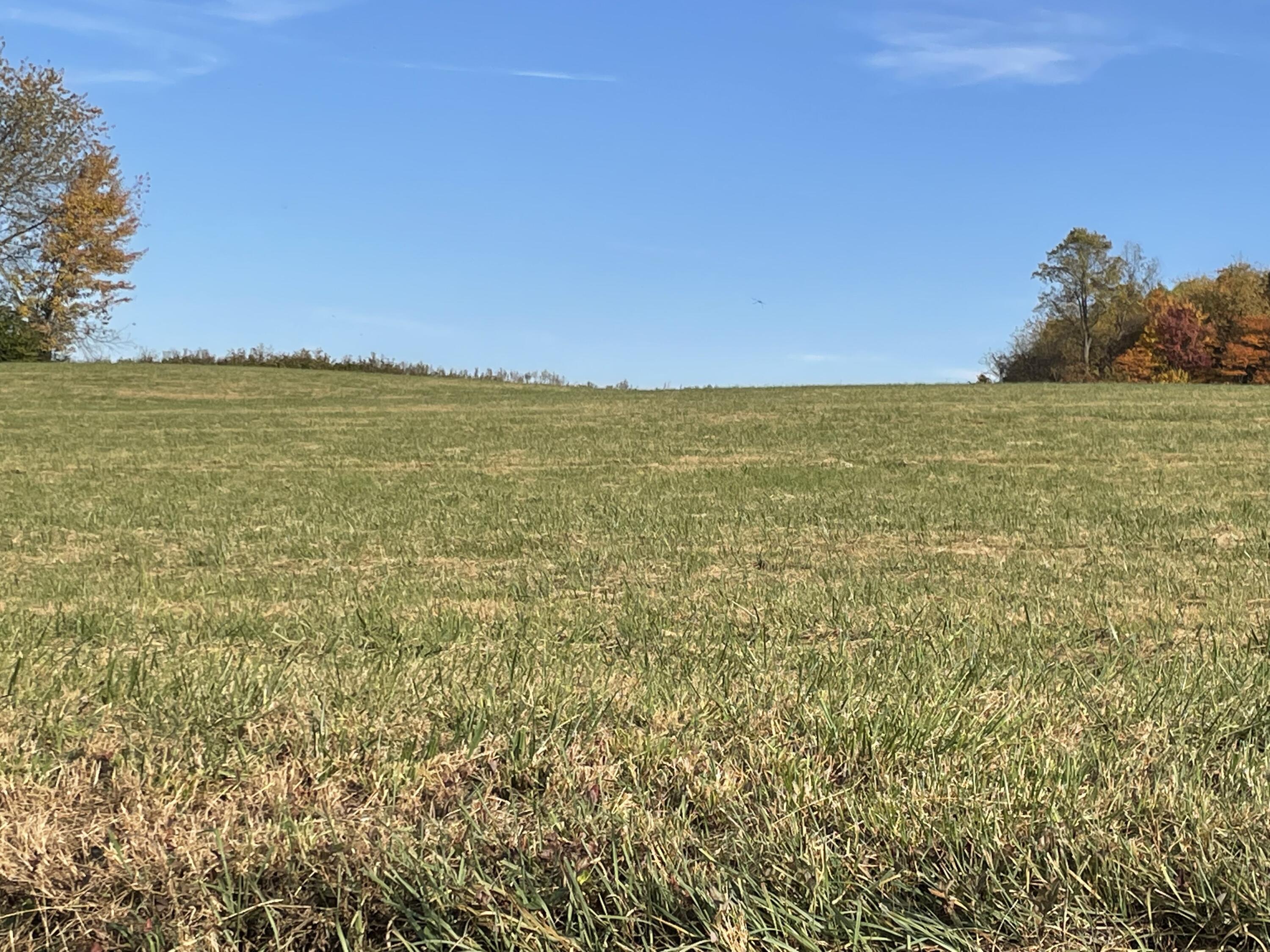 Tbd Milburnton Road, Unit LOT #1 Limestone, TN 37681 - Photo 3 of 5 F4759B09-84FD-4EEA-A53A-9A6751213B55