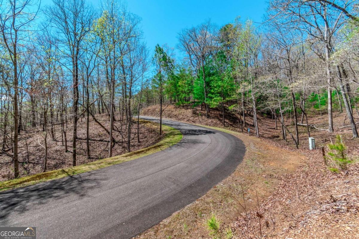 Lot 188 Harris Ridge Lane, Unit 188 Ellijay, GA 30540 - Photo 1 of 1 Gallery Image 1