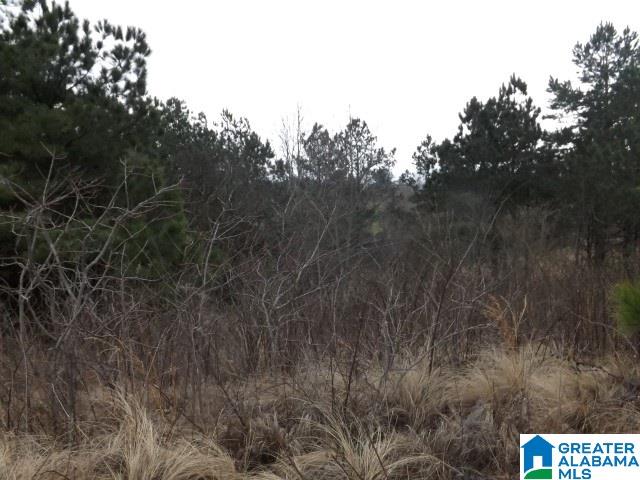 29 Highway Ac Al, Unit 33 Oneonta, AL 35121 - Photo 19 of 23
