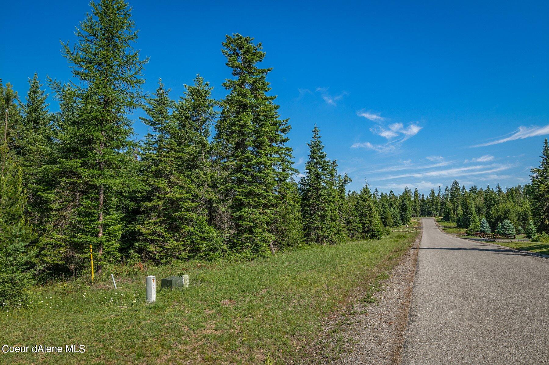 Lot 10 East Riley Loop Athol, ID 83801 - Photo 1 of 25 Riley Loop