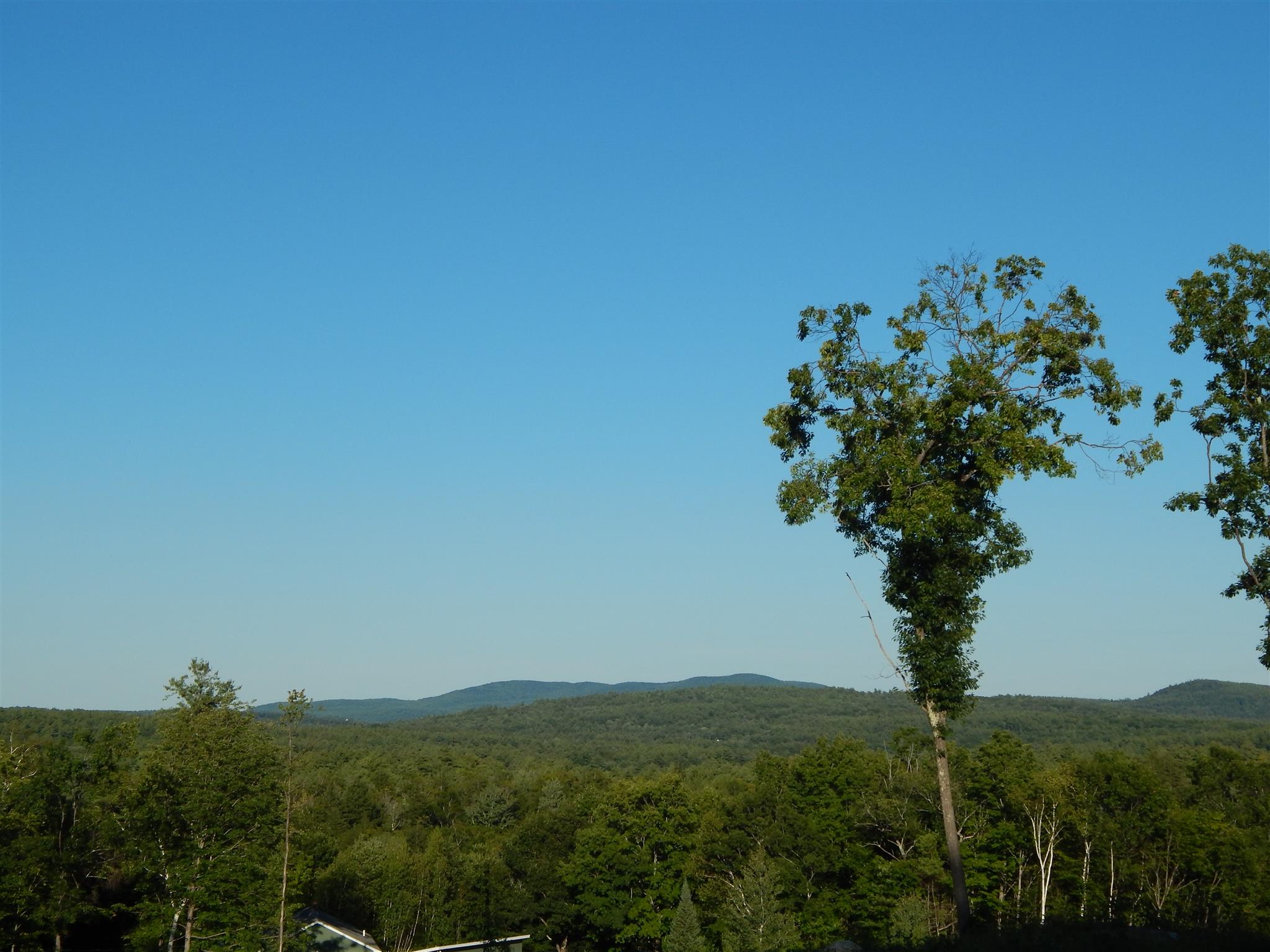 Newell Road Bradford, NH 03221 - Photo 1 of 9