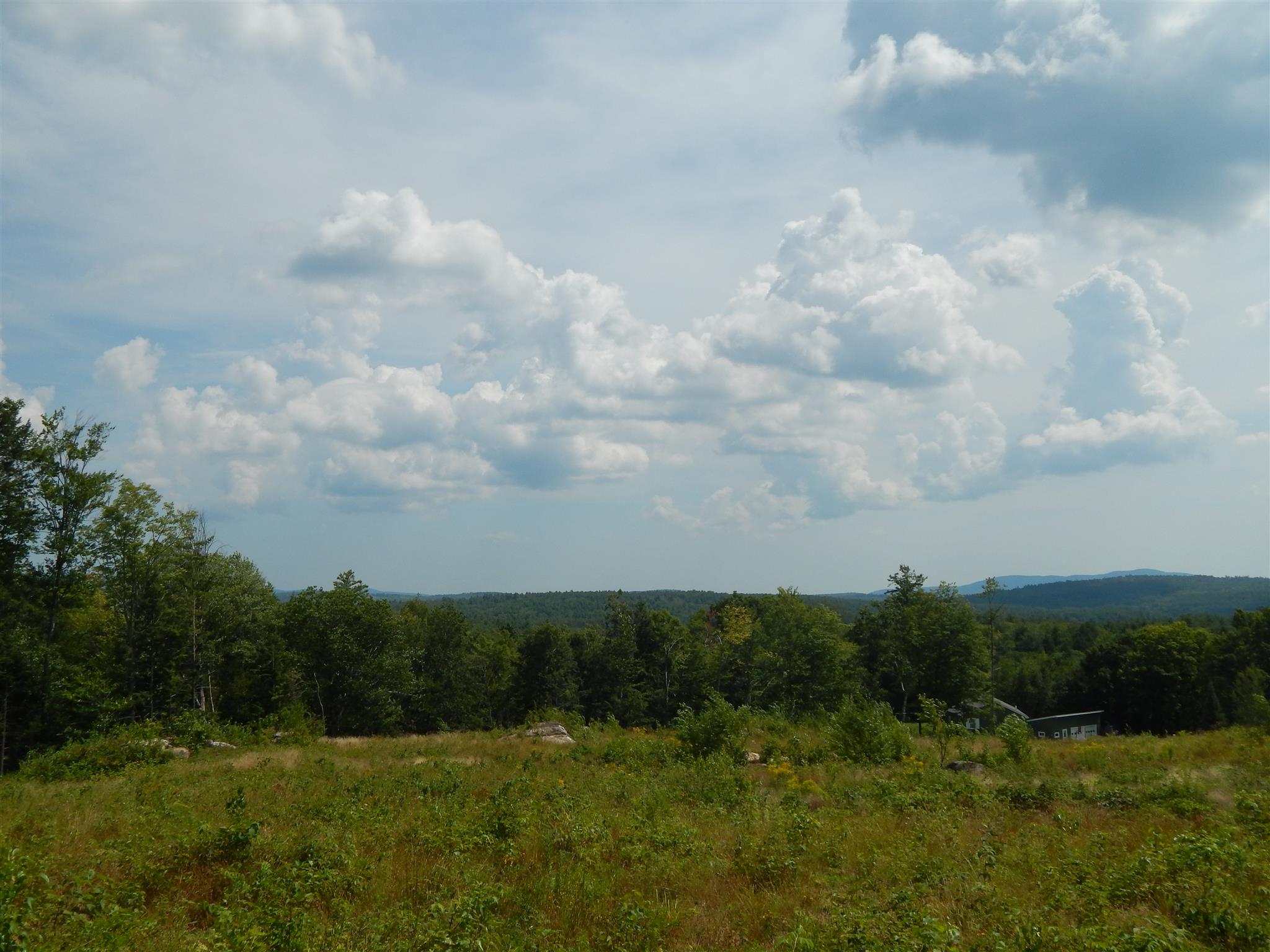 Newell Road Bradford, NH 03221 - Photo 3 of 9