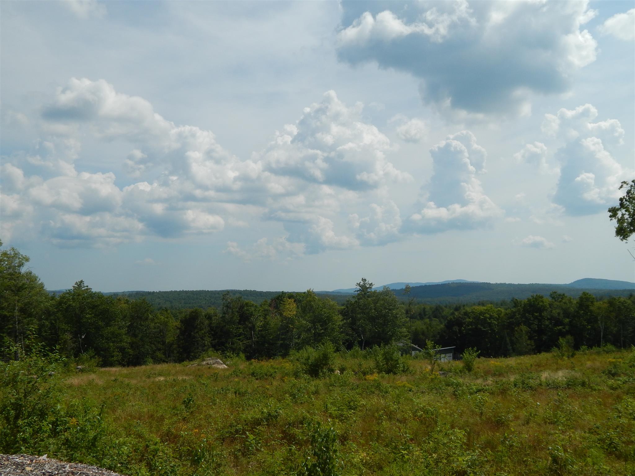 Newell Road Bradford, NH 03221 - Photo 5 of 9
