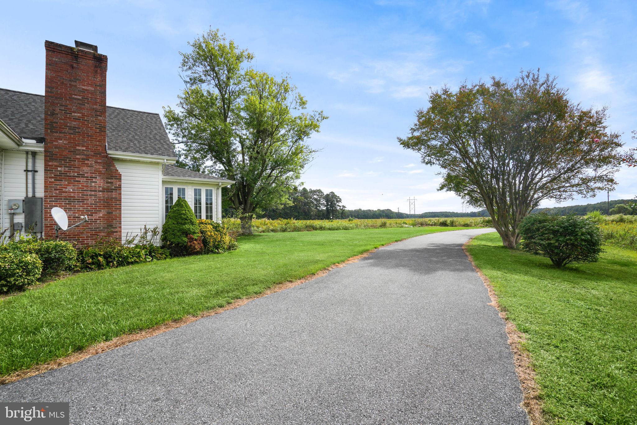 9449 Carey Road Berlin, MD 21811 - Photo 100 of 108 a view of a house with a yard and palm trees