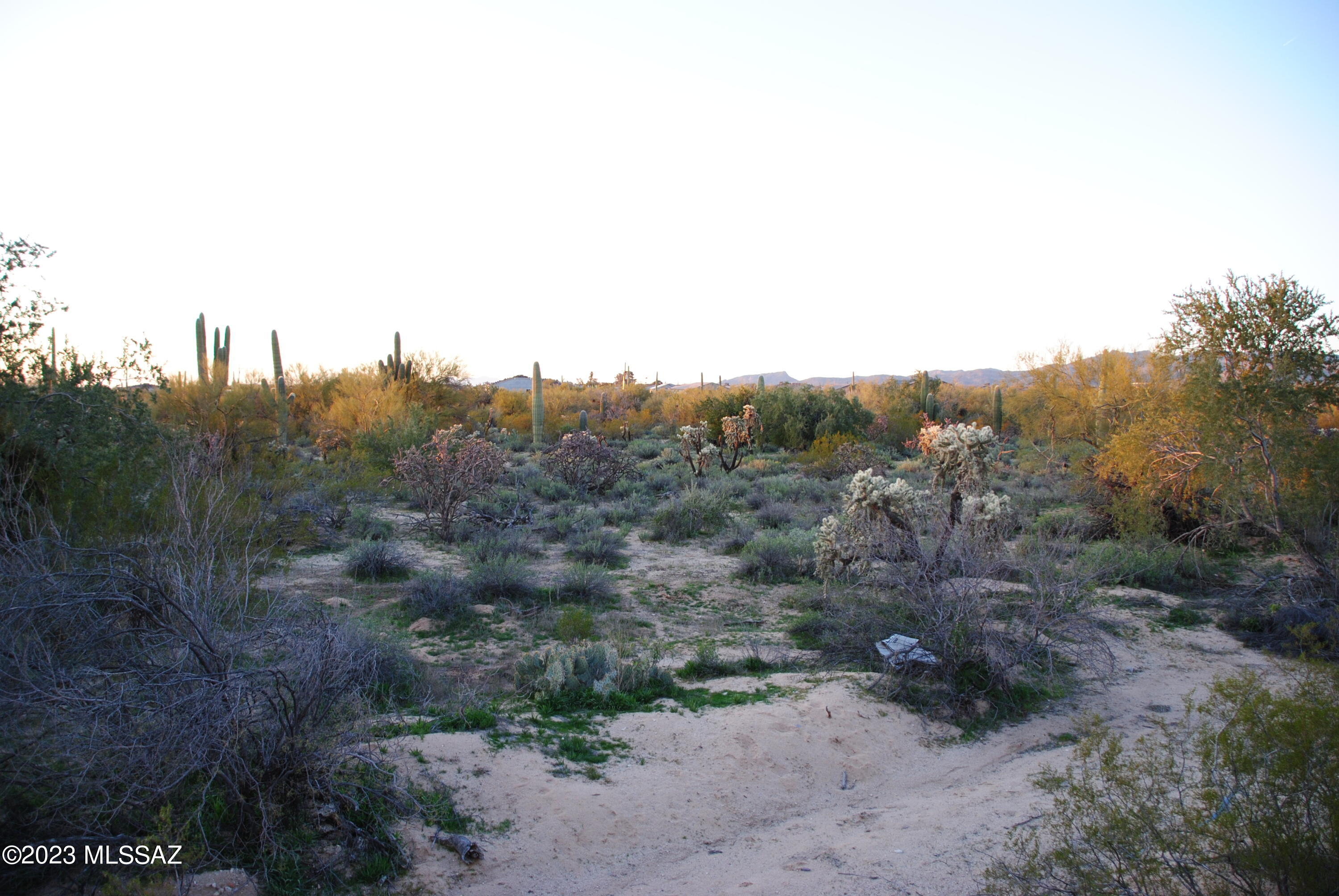 10355 North Blue Bonnet Road Tucson, AZ 85742 - Photo 5 of 7 Gallery Image 5