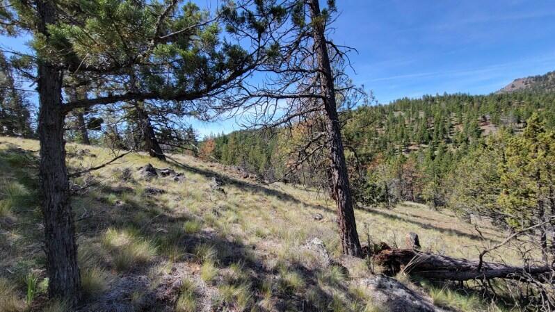 1315 Lofton Creek Road Prineville, OR 97754 - Photo 34 of 61 image000005 (2)